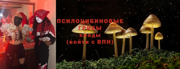 мдпв Волосово