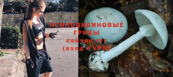 мдпв Волосово