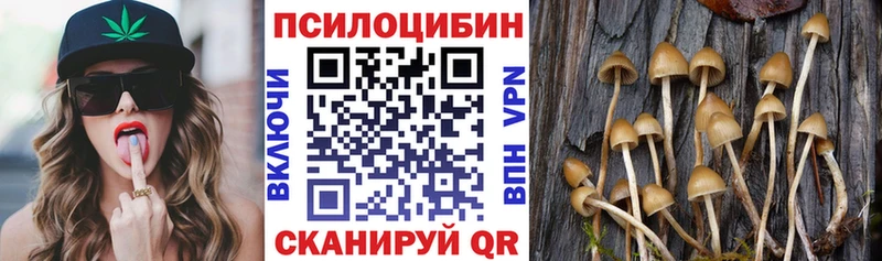 Псилоцибиновые грибы Psilocybine cubensis  магазин  наркотиков  Лыткарино 